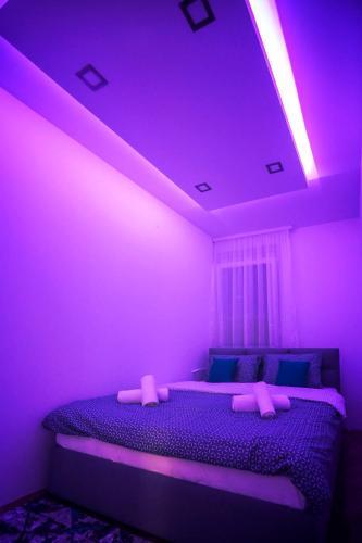 Jacuzzi Oasis Apartment (Free Parking)