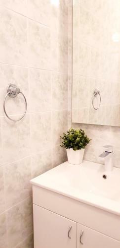 Apartman Mila