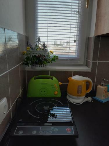 Apartment Zorana-center