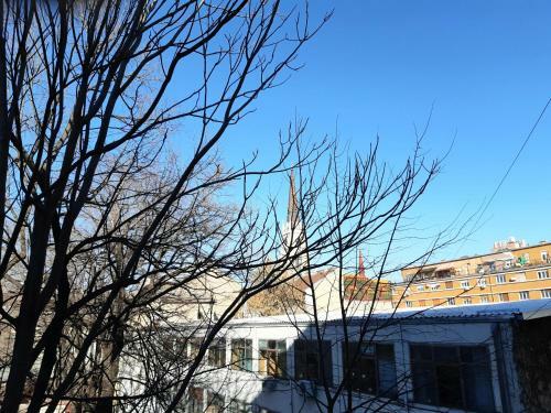 Downtown Apartment In Walk Zone With 3 Bedrooms And Garage