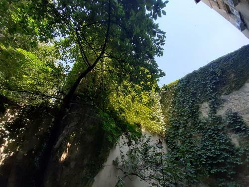 Downtown Apartment In Walk Zone With 3 Bedrooms And Garage