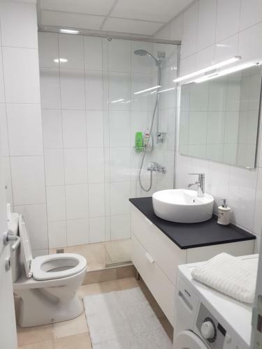 Welcome Apartment