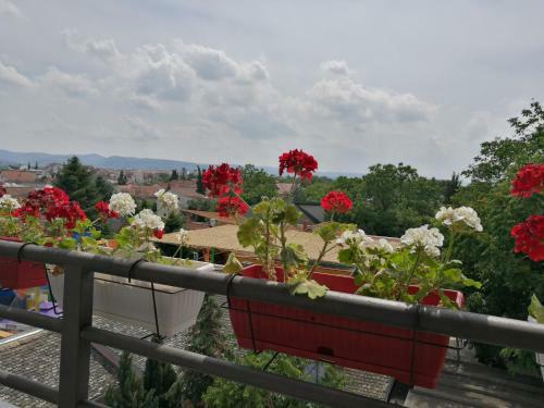 Helena Apartment