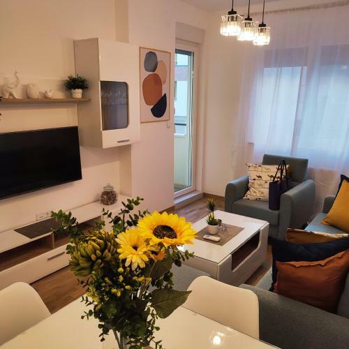 Apartamento Centar Novi Sad-filipa Vi?nji?a-app No 6