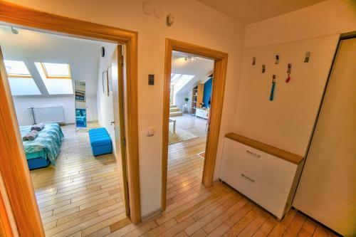 Apartman Strahinja - Centar