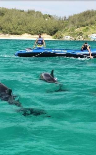 Aparts Da Praia Grande 303