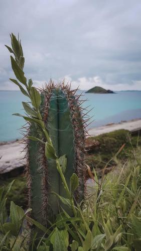 Casa Aluguel Temporada Arraial Do Cabo