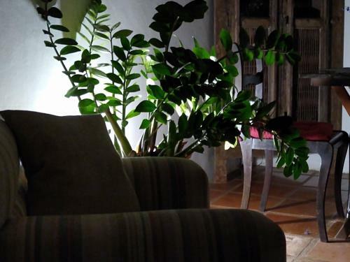 Marola?s B�zios Casa Inteira