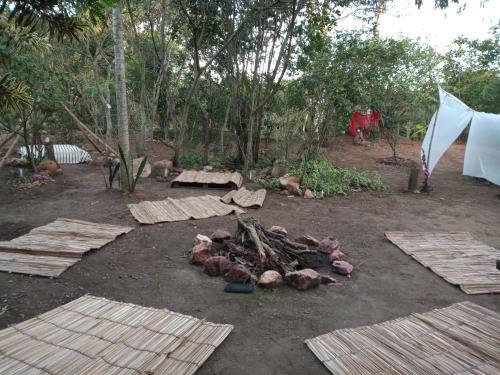 Espa�o Cris�ntemos B�zios