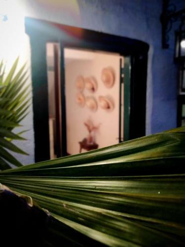 Bed & Breakfast Pousada Samsara