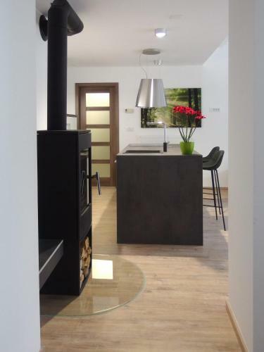 Apartments Vita