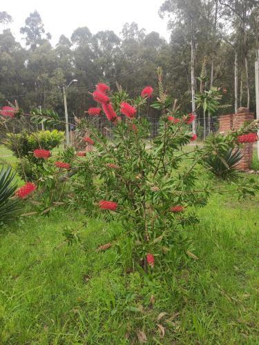 Shalet 3 Dormitorios Dos Cuadras de La Playa