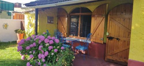 Apartamento Terra 2