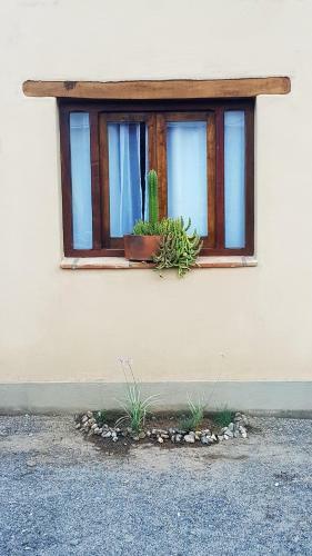 Bed & Breakfast Terraza Del Molle