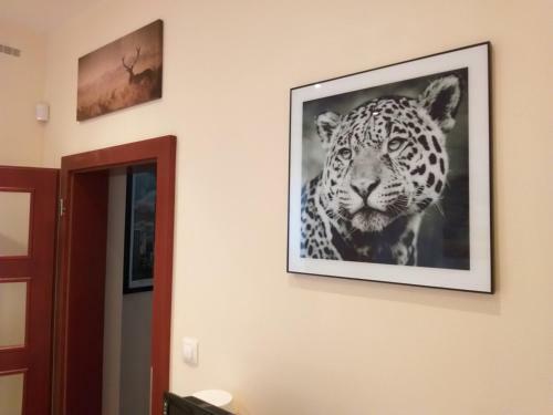 M10 Old Town Apartments Kosice