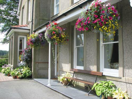 Bed & Breakfast Gwrach Ynys Country Guest House