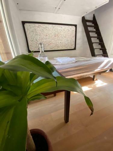 Hostal The Dacha Chiraly