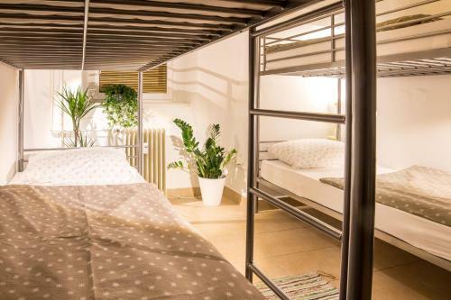 The Maze Apartment