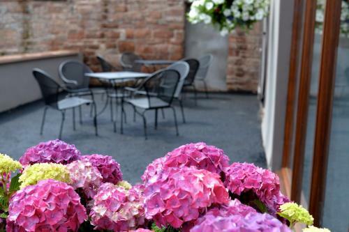 Bed & Breakfast Scotch Arms Mews