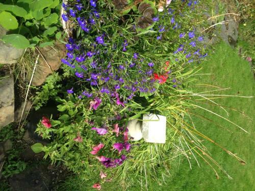 Bed & Breakfast Belstane House