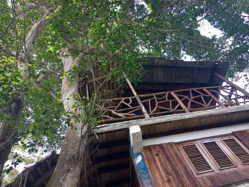 Hotel Nunkai Eco-hostal & Caf� Bosque