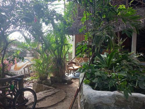 Hotel Nunkai Eco-hostal & Caf� Bosque