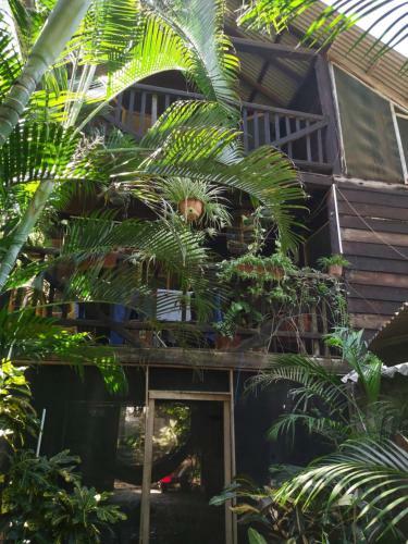 Apartamento Caba�a De Piedra
