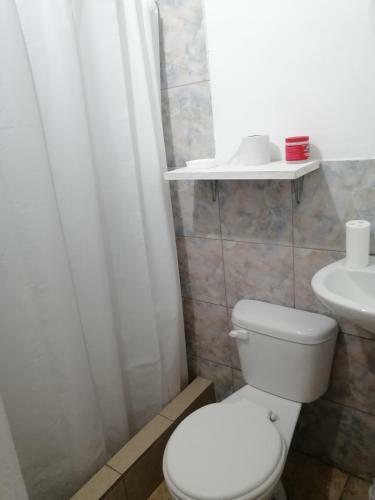 Bed & Breakfast Palmendros Hostal2