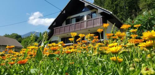 Apartamentos Savadolinka House