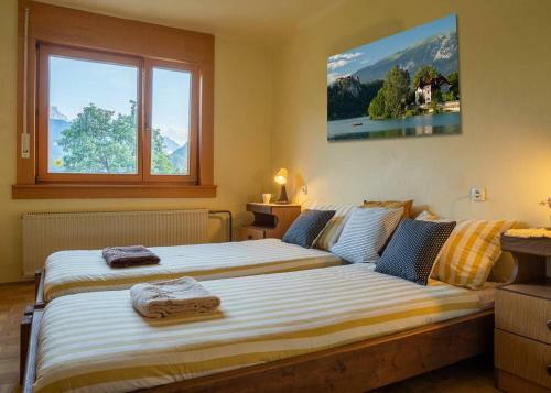 Alpeambient House Dovje