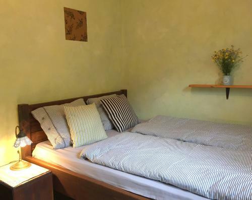 Apartments River Cottage Mojstrana