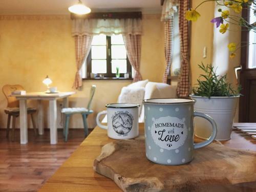 River Cottage Mojstrana