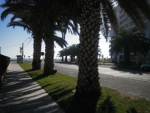 Apartamento La Serena Hermosa