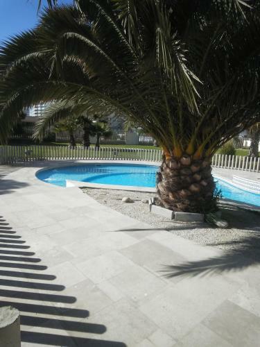 Apartamento La Serena Hermosa