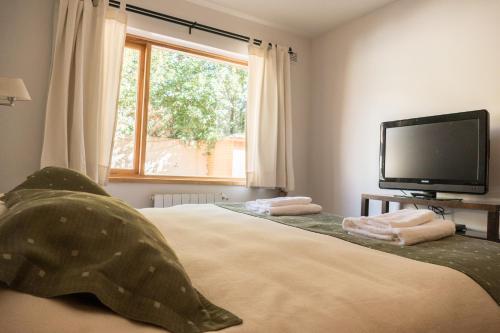 Apartamento Departamento Roca 6