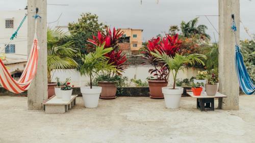 Apartamento Pangora