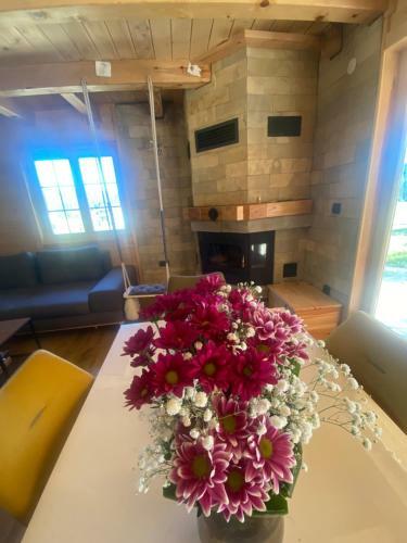 Villa Horse River
