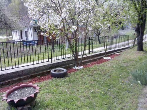 Apartamento ?umska Idila Rakovac