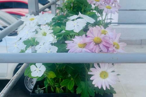 Apartamento Flowers House