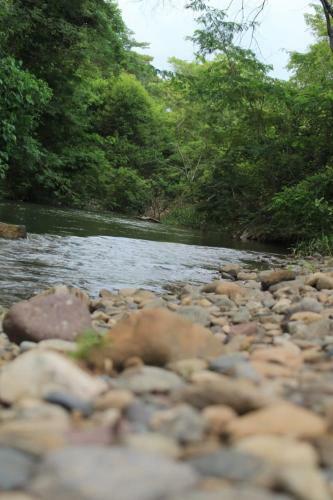 Moderna Casa Campo Con R�o