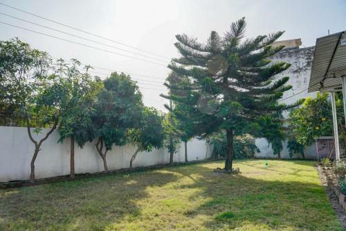 Hostal Oyo 78707 Pink House