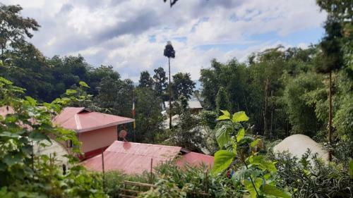 Tenam Garden Holistic Homestay