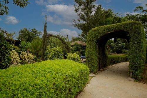 Agroturismo Omera Farm Gurugram A Blusalz Rural Experience
