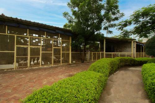 Agroturismo Omera Farm Gurugram A Blusalz Rural Experience