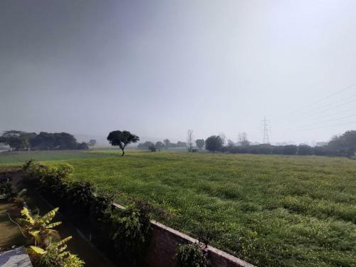 Madhuban Farms