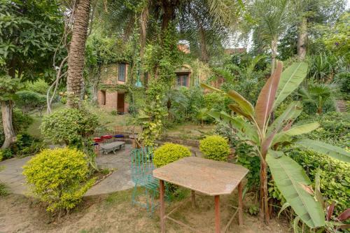 Villa Hostie Chinar Haveli - Heritage Home With Pool, Gurgaon