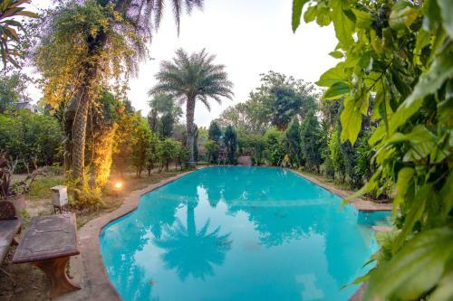 Villa Hostie Chinar Haveli - Heritage Home With Pool, Gurgaon