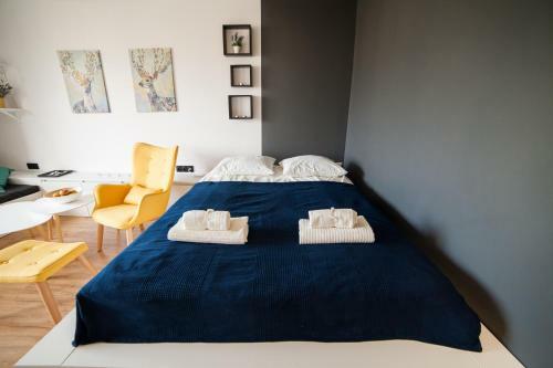 Apartament Zdrojovy