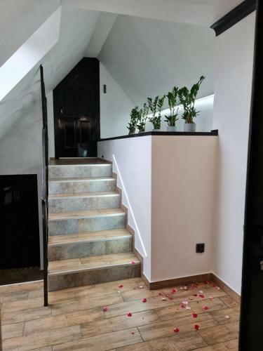 Hostal Villa Slavia