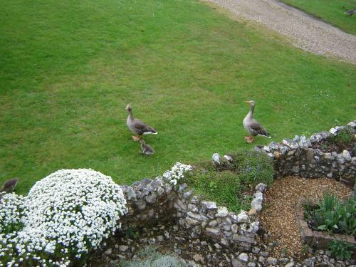 Bed & Breakfast Flint House